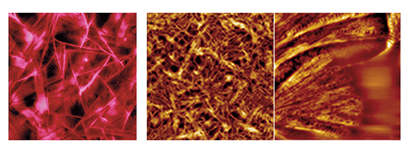 AFM 案例1-1.jpg